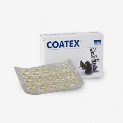 코텍스 블리스터 60캡슐,피부 모질건강에 도움, 60캡슐